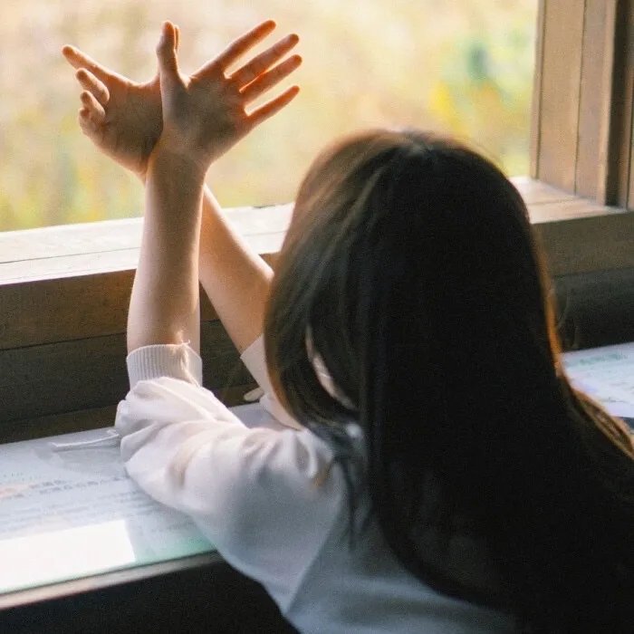 杀人执照 (1984年电影)